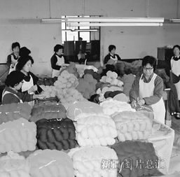 一唱雄鸡天下白 纪念新疆和平解放70周年特刊