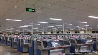 视频 东南亚针织 万人工厂 震撼世界 中国纺织 面料 服装工厂面临巨大挑战