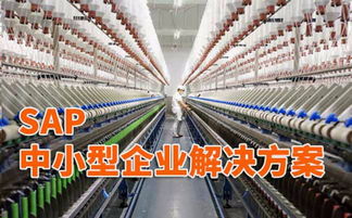 纺织厂erp管理软件 sap纺织业erp系统厂商 沈阳达策